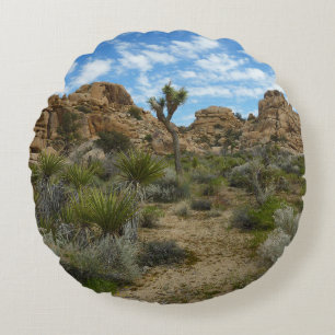 Barker Dam Loop Trail in het Joshua Tree National Rond Kussen