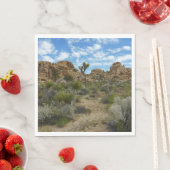 Barker Dam Loop Trail in het Joshua Tree National Servet (Insitu)