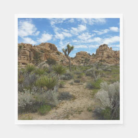Barker Dam Loop Trail in het Joshua Tree National Servet (Voorkant)