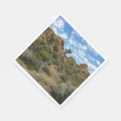 Barker Dam Loop Trail in het Joshua Tree National Servet (Hoek)