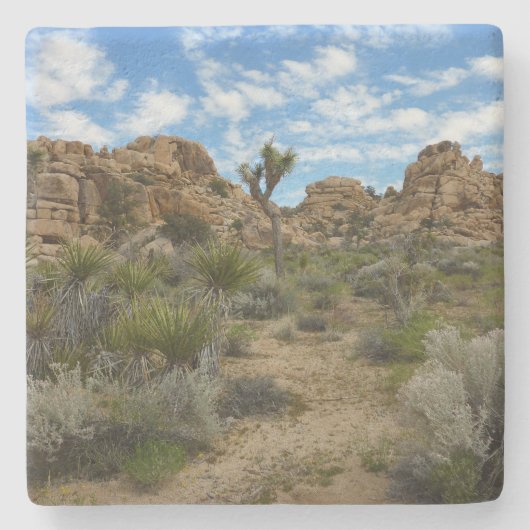 Barker Dam Loop Trail in het Joshua Tree National Stenen Onderzetter (Voorkant)
