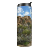 Barker Dam Loop Trail in het Joshua Tree National Thermosbeker (Gedraaid links)