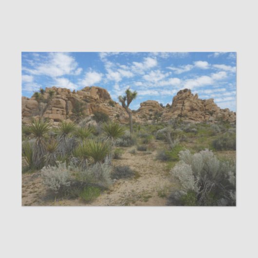 Barker Dam Loop Trail in het Joshua Tree National Tissuepapier (Voorkant)