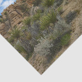 Barker Dam Loop Trail in het Joshua Tree National Tissuepapier (Detail)