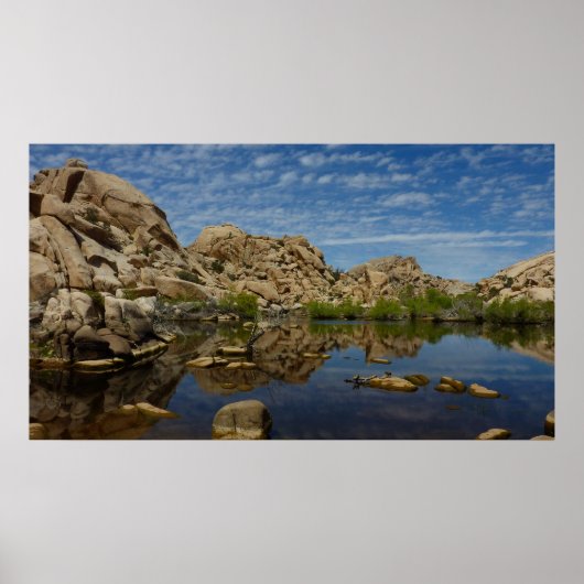 Barker Dam reflectie bij Joshua Tree I Poster (Voorkant)