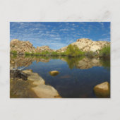 Barker Dam reflectie bij Joshua Tree II Briefkaart (Voorkant)