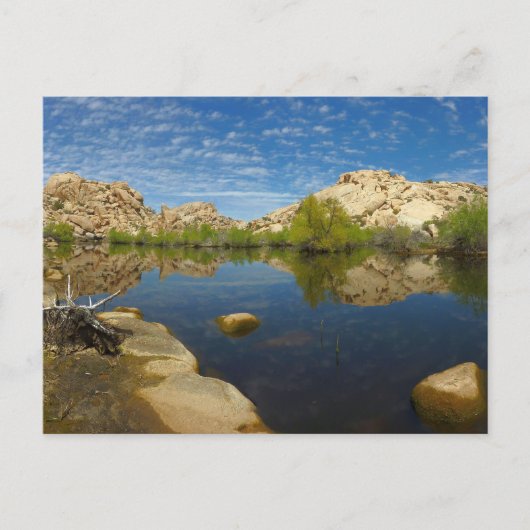 Barker Dam reflectie bij Joshua Tree II Briefkaart (Voorkant)