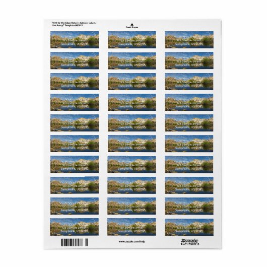 Barker Dam reflectie bij Joshua Tree II Etiket (Full Sheet)