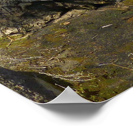 Barker Dam reflectie bij Joshua Tree II Poster (Hoek)