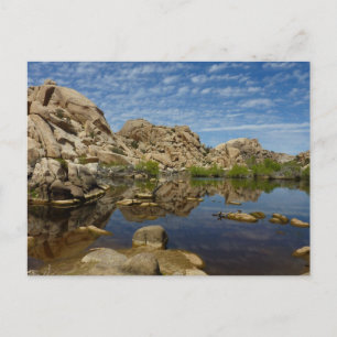 Barker Dam-weerkaatsing bij Joshua Tree I Briefkaart