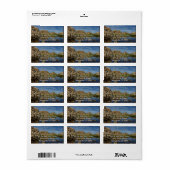 Barker Dam-weerkaatsing bij Joshua Tree I Etiket (Full Sheet)