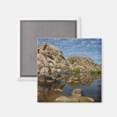 Barker Dam-weerkaatsing bij Joshua Tree I Magneet (Voorkant / Achterkant)