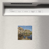 Barker Dam-weerkaatsing bij Joshua Tree I Magneet (Insitu (Vaatwasser))