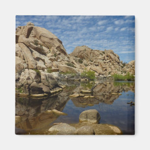 Barker Dam-weerkaatsing bij Joshua Tree I Magneet