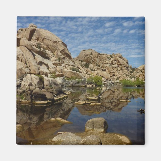 Barker Dam-weerkaatsing bij Joshua Tree I Magneet (Voorkant)