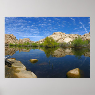 Barker Dam-weerkaatsing bij Joshua Tree II Poster