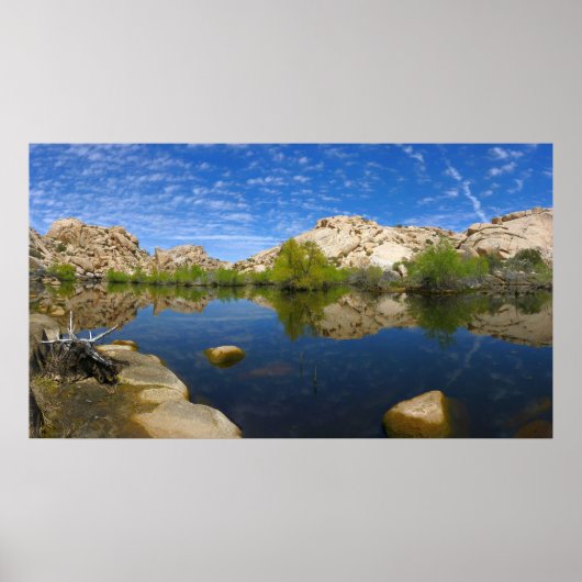 Barker Dam-weerkaatsing bij Joshua Tree II Poster (Voorkant)