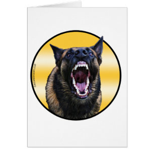 Barking Belgium Malinois "Maligator"