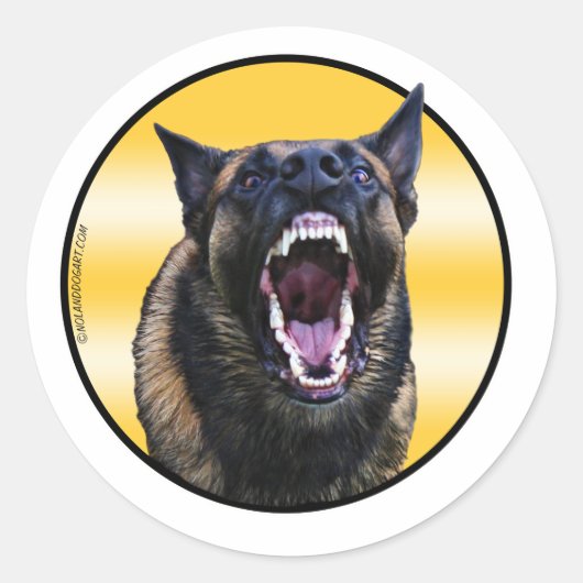Barking Belgium Malinois "Maligator" Ronde Sticker (Voorkant)