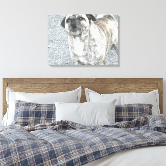 Barking Bull Dog Canvas Afdruk (Insitu (Slaapkamer))