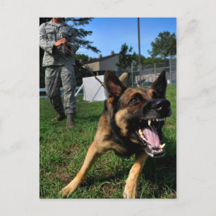 Barking German Shepherd Briefkaart