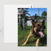 Barking German Shepherd Briefkaart (Voorkant / Achterkant)