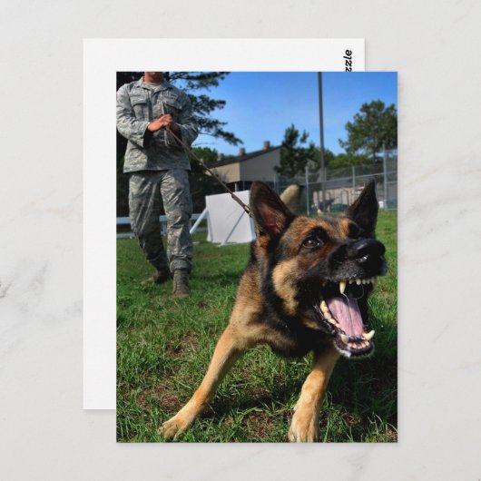 Barking German Shepherd Briefkaart (Voorkant / Achterkant)