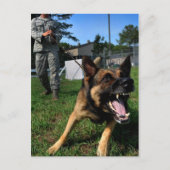 Barking German Shepherd Briefkaart (Voorkant)