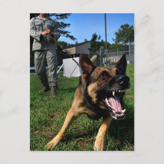 Barking German Shepherd Briefkaart (Voorkant)