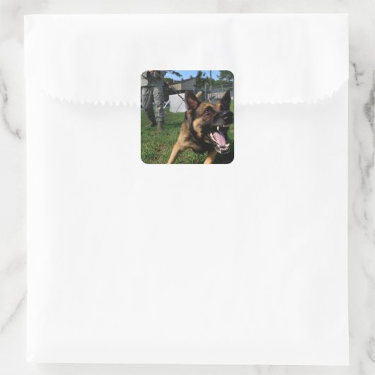 Barking German Shepherd Vierkante Sticker (Tas)