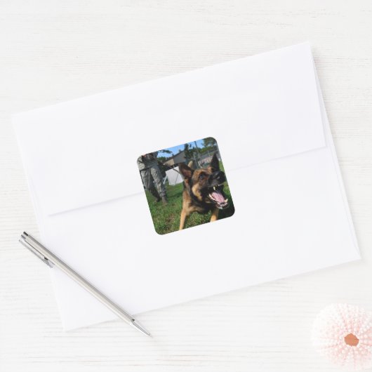 Barking German Shepherd Vierkante Sticker (Envelop)
