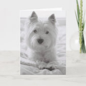 Barko in Bed Kaart (Voorkant)