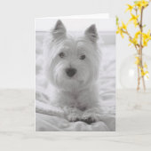 Barko in Bed Kaart (Gele Bloem)