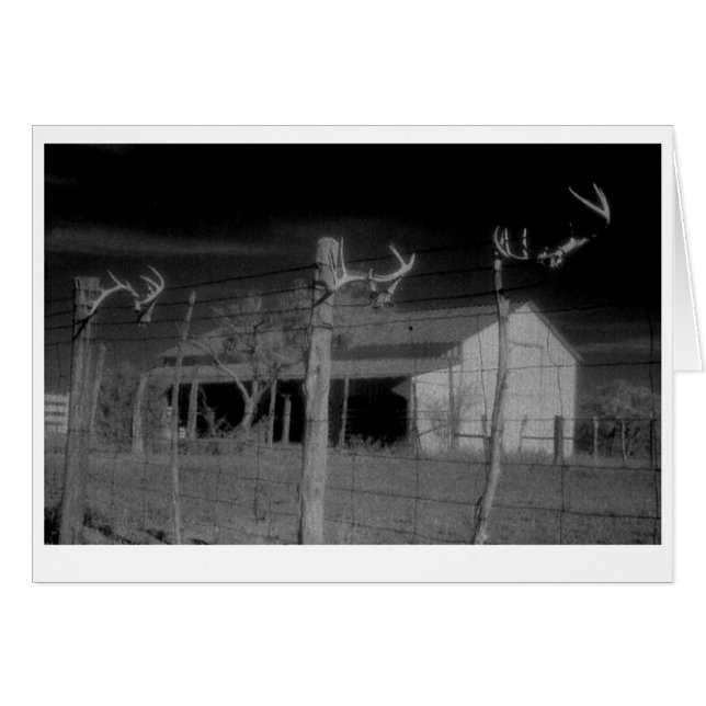 "Barn and Antlers" (Voorkant Horizontaal)