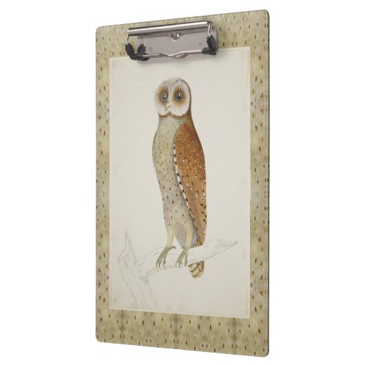 Barn Bay uil rustieke  natuur vogelillustrati Klembord (Links)