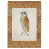 Barn Bay uil rustieke natuur vogelillustrati Klembord (Achterkant)