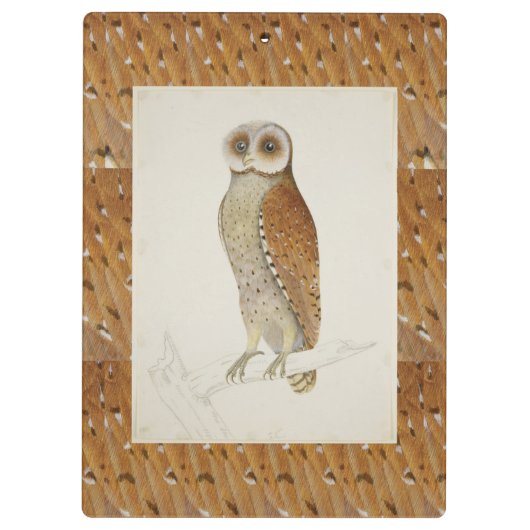 Barn Bay uil rustieke  natuur vogelillustrati Klembord (Achterkant)