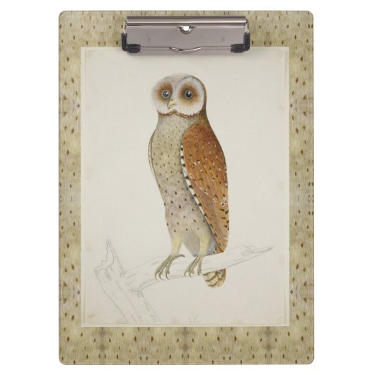 Barn Bay uil rustieke natuur vogelillustrati Klembord (Voorkant)