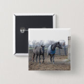 Barn Boerderij Horses Vierkante Button 5,1 Cm (Voorkant /achterkant)