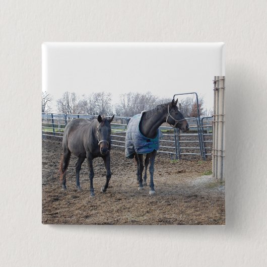 Barn Boerderij Horses Vierkante Button 5,1 Cm (Voorkant)