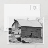 Barn briefkaart (Voorkant / Achterkant)