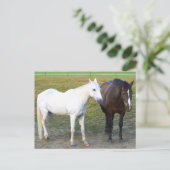 Barn Buddies Briefkaart (Staand voorkant)