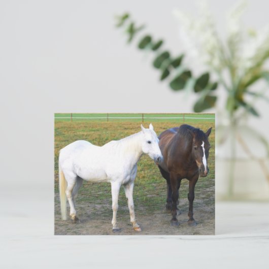 Barn Buddies Briefkaart (Staand voorkant)