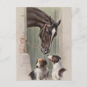 Barn Buddies Briefkaart