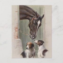 Barn Buddies Briefkaart