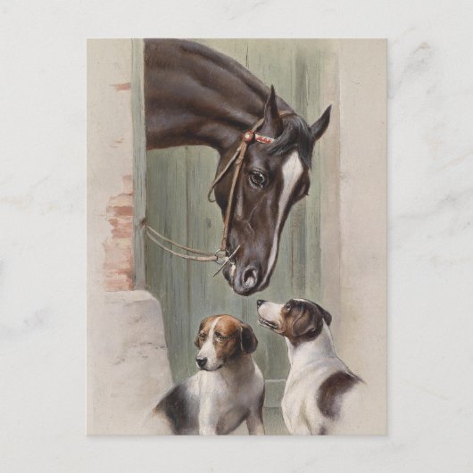 Barn Buddies Briefkaart (Voorkant)