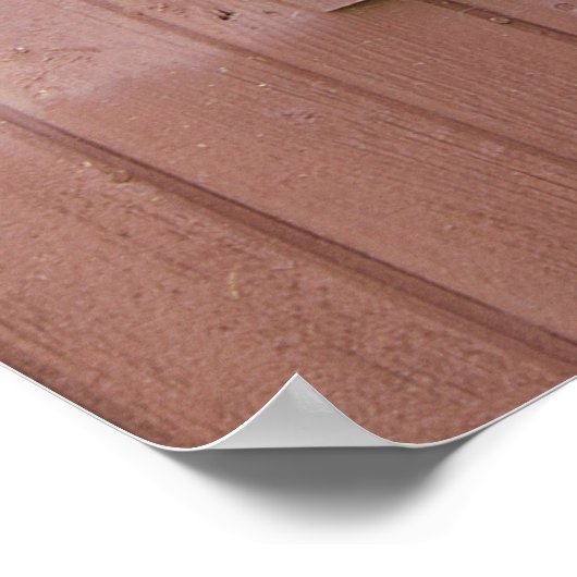 Barn Buddies Poster (Hoek)