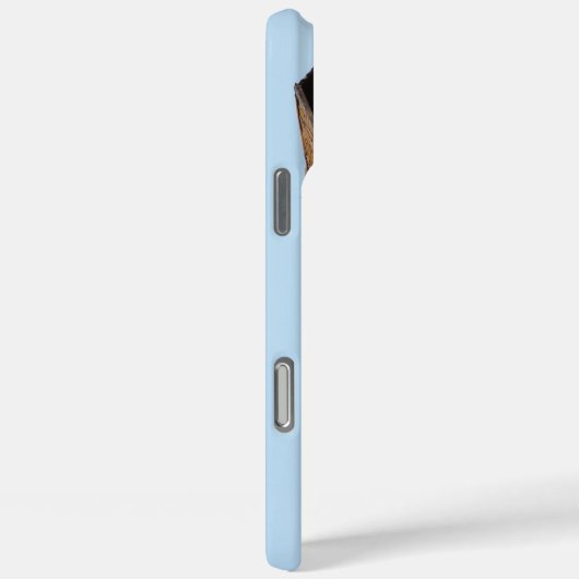 Barn Case-Mate iPhone Case (Achterkant / Rechts)