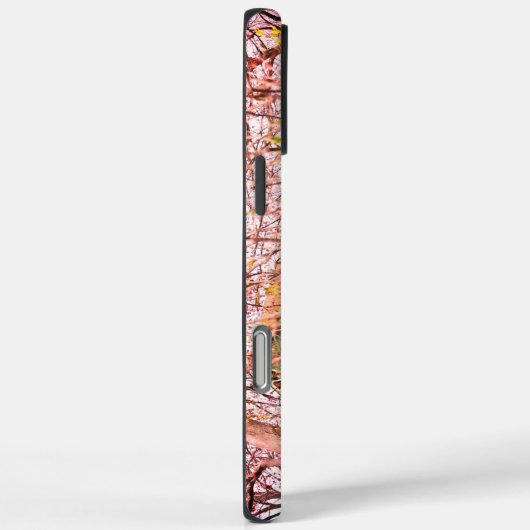 Barn Case-Mate iPhone Case (Achterkant / Rechts)