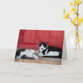 Barn Cat Birthday Kaart (Gele Bloem)